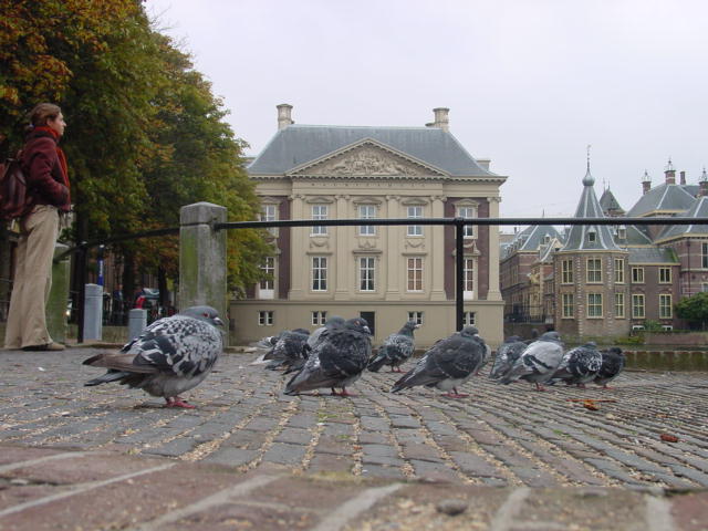 a0025847_2194592.jpg