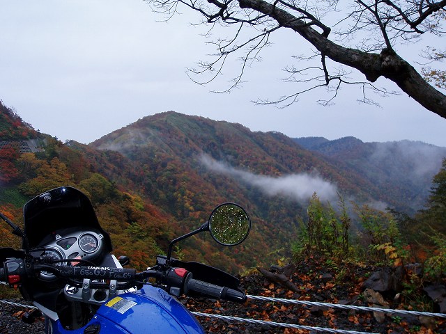 d0004158_21133336.jpg