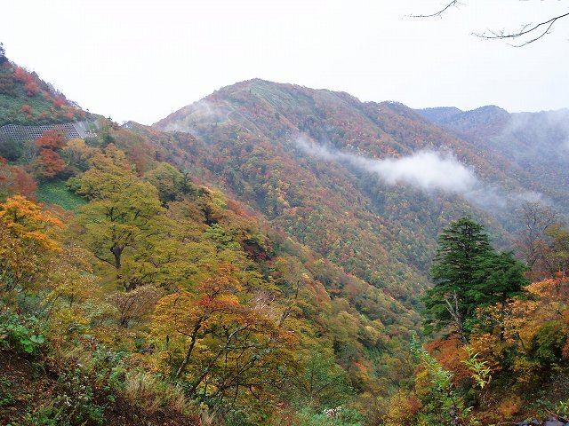 d0004158_21142712.jpg