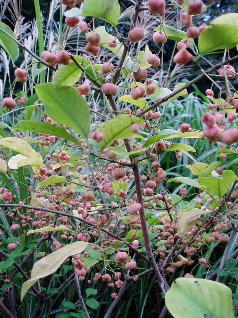 e0064158_0235440.jpg