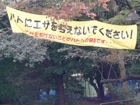 e0086860_755223.jpg