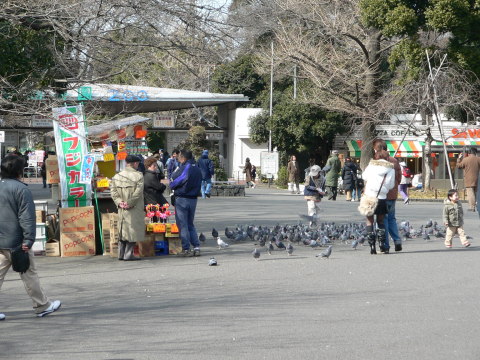e0086860_84380.jpg