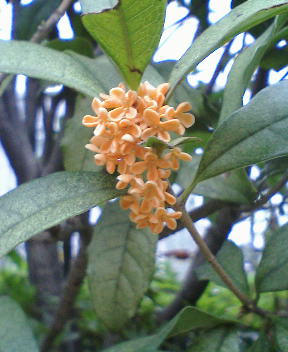 b0009665_2343284.jpg