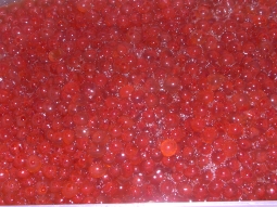 c0072871_22424815.jpg