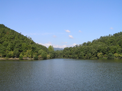 e0048413_19242853.jpg