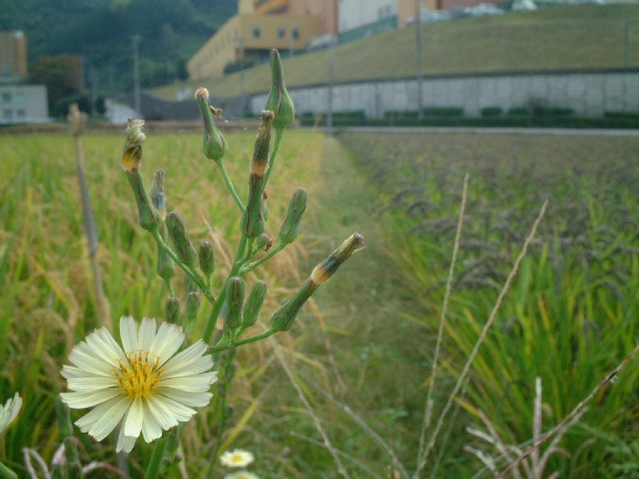 a0043022_11563178.jpg
