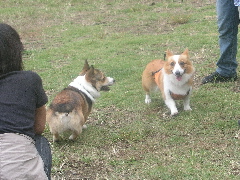 e0071225_16521183.jpg