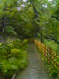 a0043326_15305634.jpg