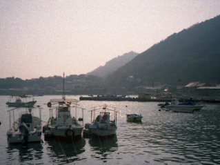 e0064133_23402080.jpg