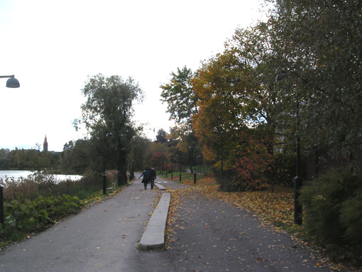 c0006748_002197.jpg