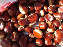 c0068149_19385218.jpg