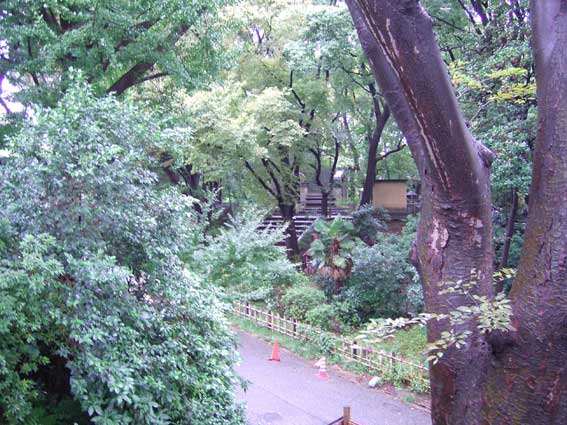 d0063149_102159.jpg
