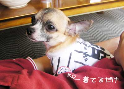 c0019050_14465617.jpg