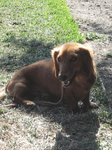 b0035453_1411134.gif