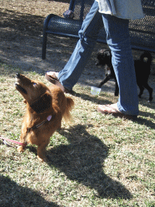 b0035453_141419.gif