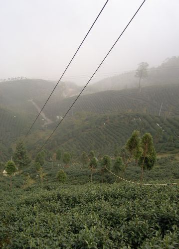e0072757_2284712.jpg