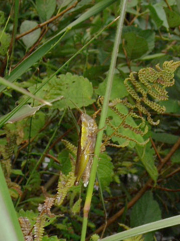 e0064158_014937.jpg