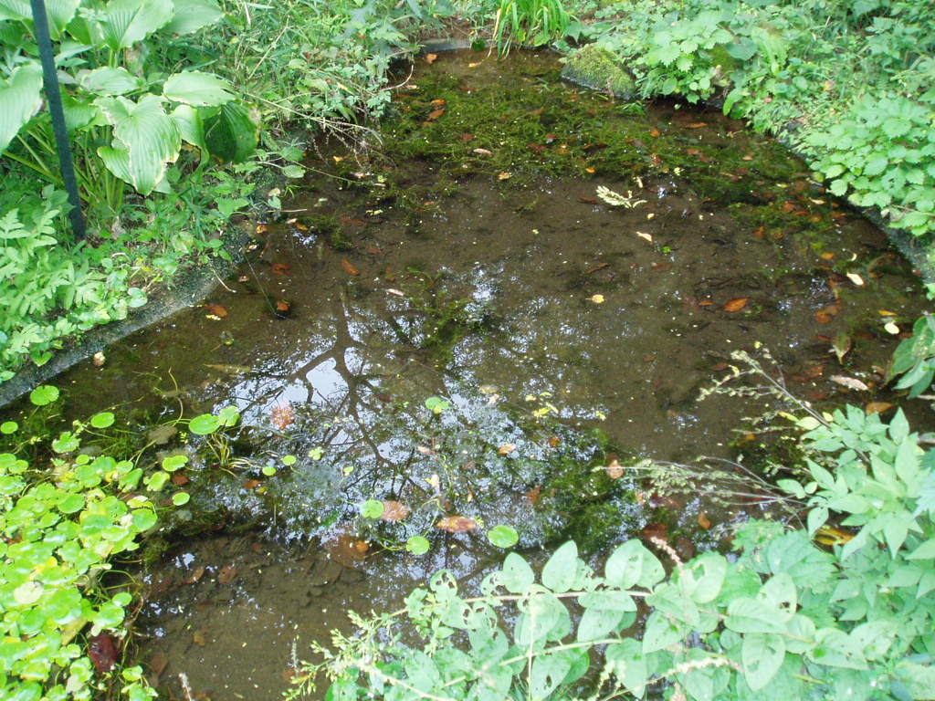 e0064158_122357.jpg