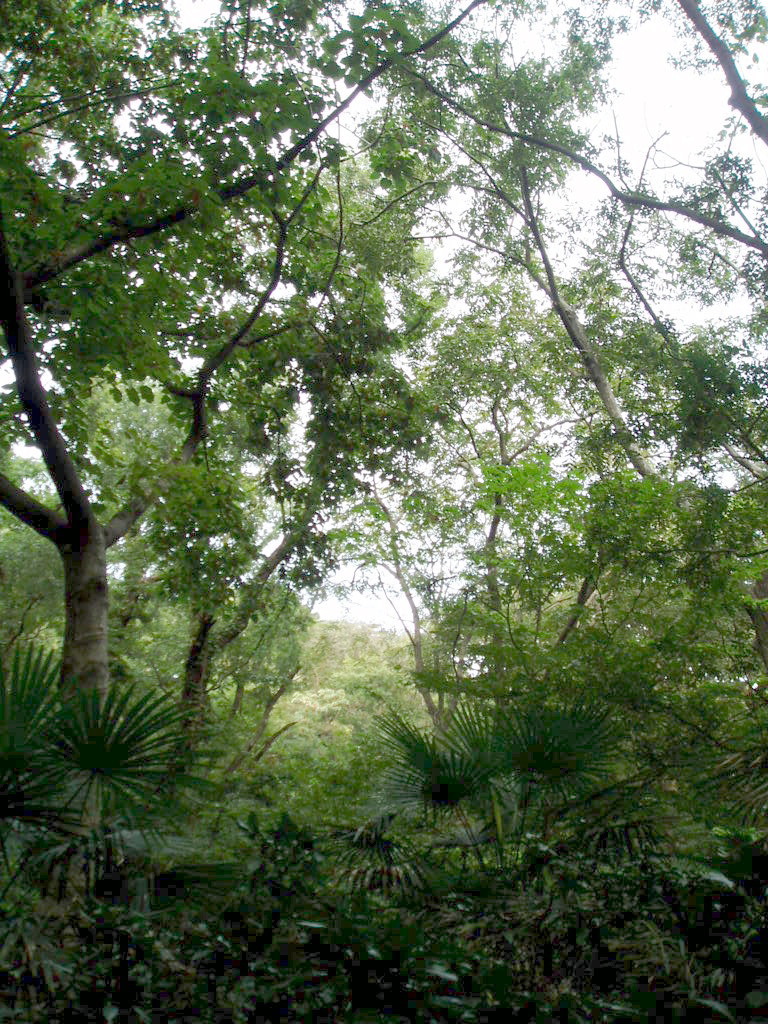 e0064158_154648.jpg