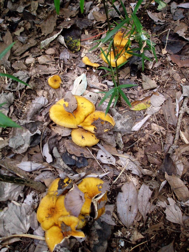 e0064158_2348538.jpg