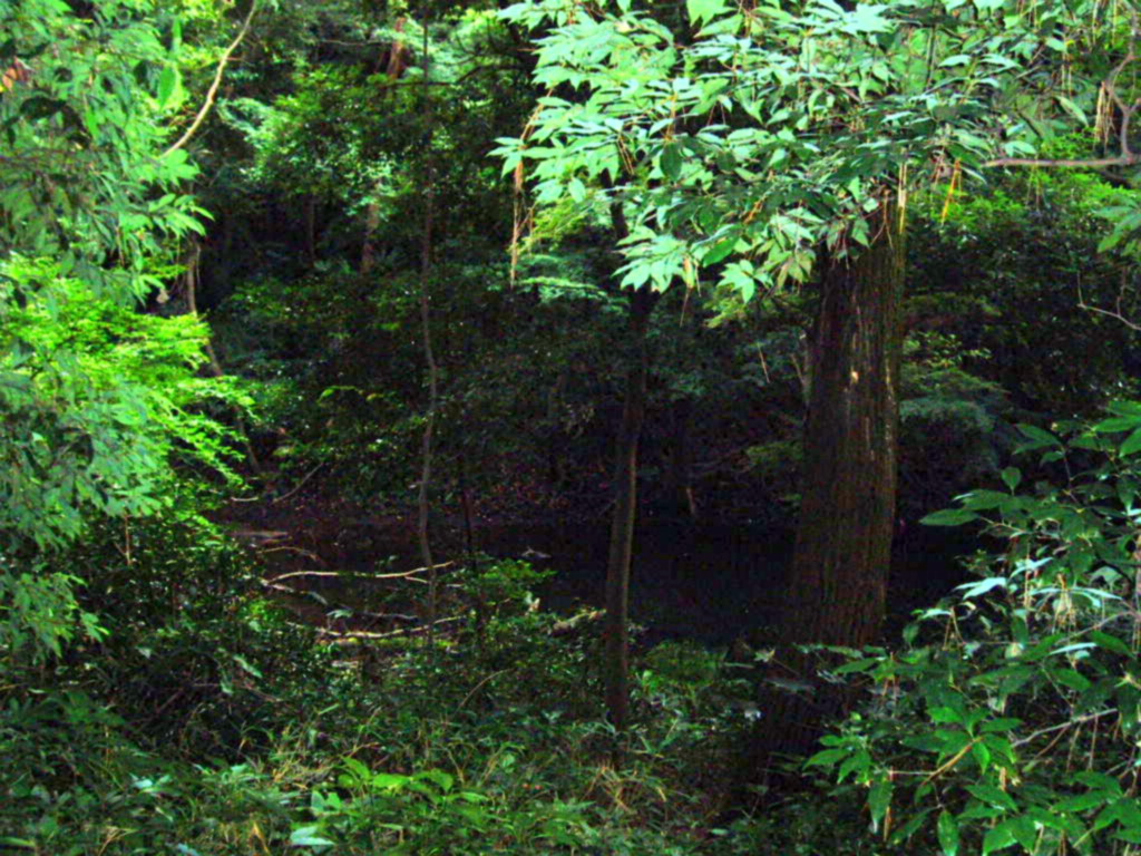 e0064158_23501212.jpg