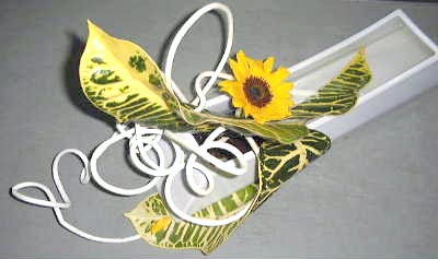 e0086864_23422031.jpg