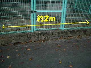 e0002466_16122274.jpg
