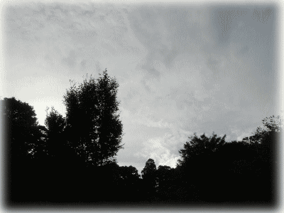 b0055276_10472449.gif