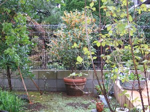 b0007893_11462148.jpg