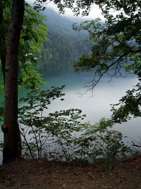 c0061496_11482323.jpg