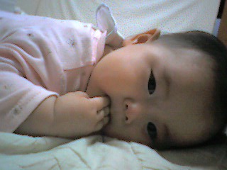 d0063903_11463223.jpg