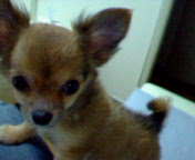 e0090306_12594737.jpg