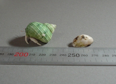 a0043512_23442721.jpg
