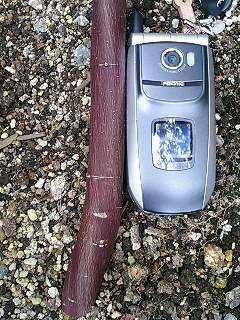 e0026017_2321593.jpg