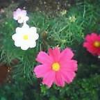 c0050522_22181475.jpg