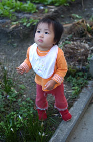 b0056924_12323964.jpg