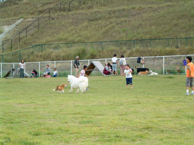 e0024126_21342994.jpg