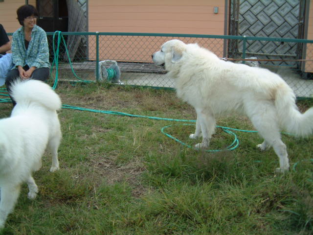 e0024126_2138079.jpg