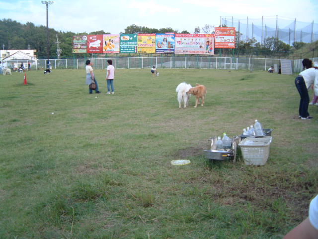 e0024126_214733100.jpg