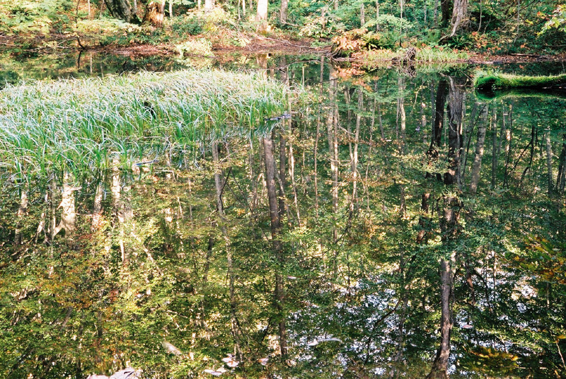 e0016732_22131820.jpg