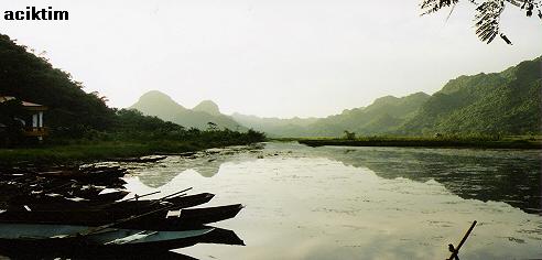 e0009838_135980.jpg