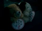 c0057946_208327.jpg