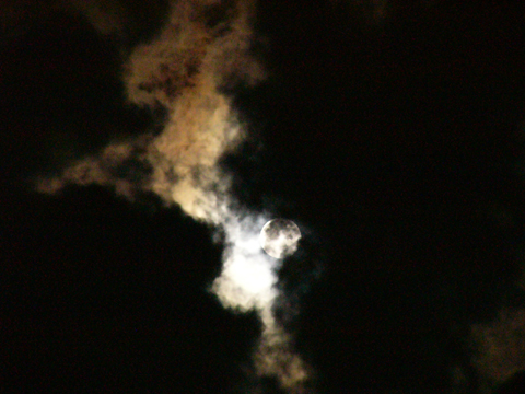 a0024250_23473225.jpg
