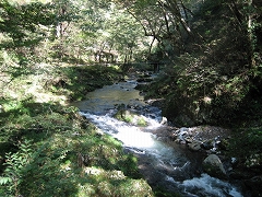 d0031853_35231.jpg
