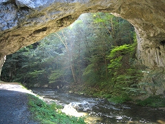 d0031853_3523314.jpg