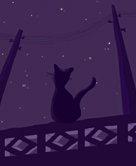 a0031155_22483997.gif