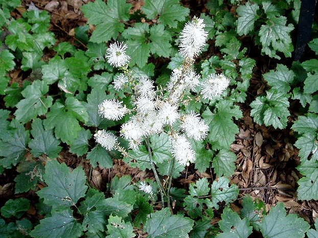 e0064158_0342936.jpg