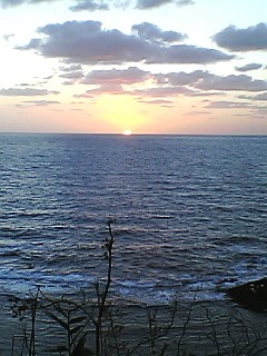 e0004062_158436.jpg