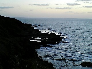 e0004062_1591526.jpg