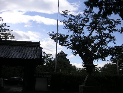 c0001269_2395230.jpg